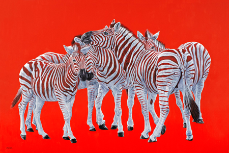 Five Zebras On Red