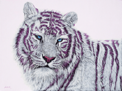 Tiger With Magenta