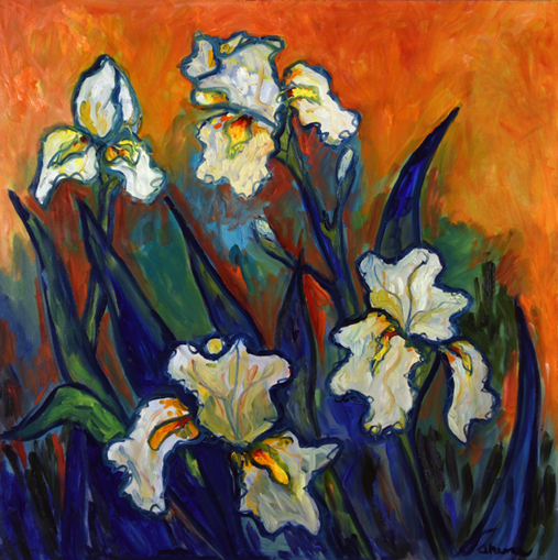 Amandi Irises
